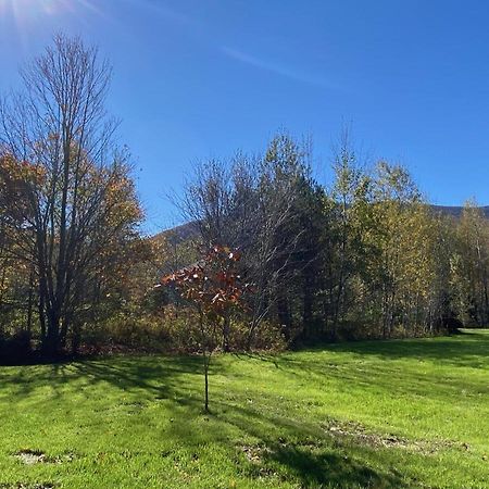 Hunter Mountain Sanctuary Villa Bagian luar foto